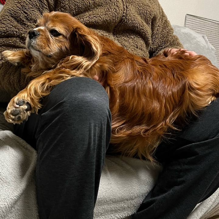 Cc0af4d3 5ddd 40a2 9867 931b72d1b6a5 1740695085084