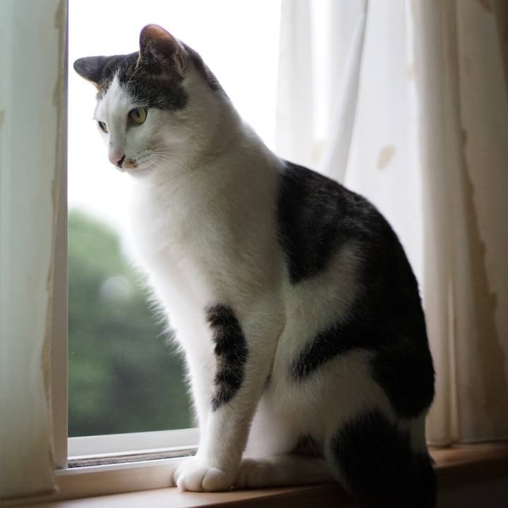 Cc0af86d 1db7 45d5 bea4 7d446ddb28b5 1528241097322