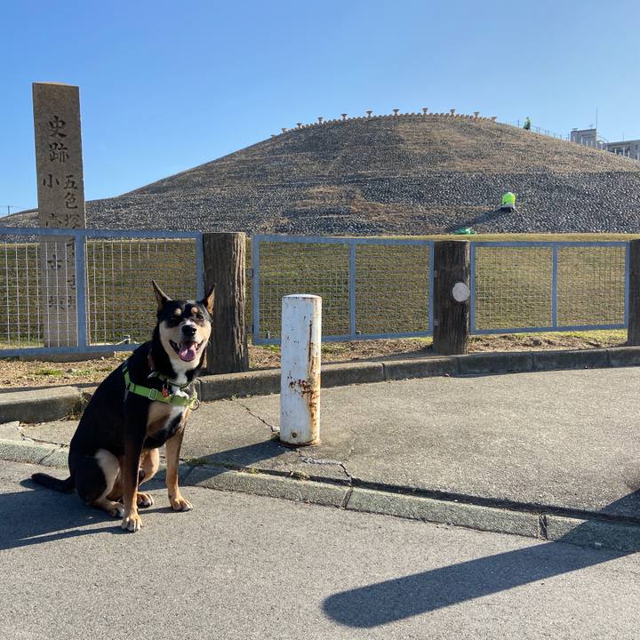 Cc0afb67 237a 4061 8598 3e1f3602af29 1605442966582