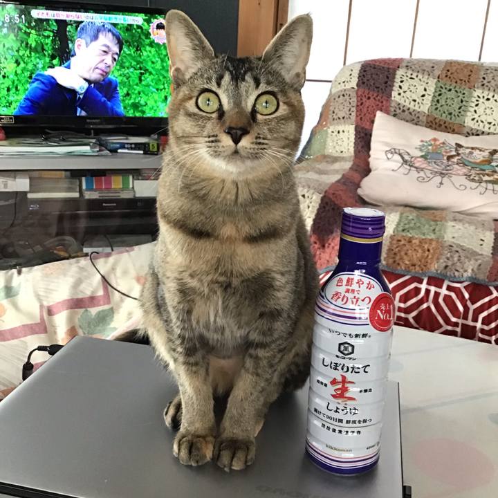 Cc0affa7 1e8e 4540 a5ea 38c6d3809da9 1575071648047