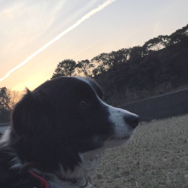 Cc0b0ee5 dad6 409b 93e6 3d661ef72dad 1519251619184