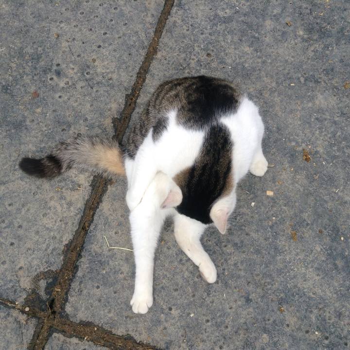 Cc0b3f26 0e99 49c9 aef7 7be1028556e9 1520429954371