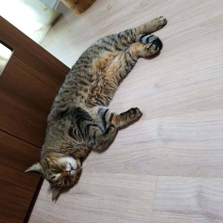 Cc0b6f89 f922 422f 8595 01970ca32bcd 1567374361214