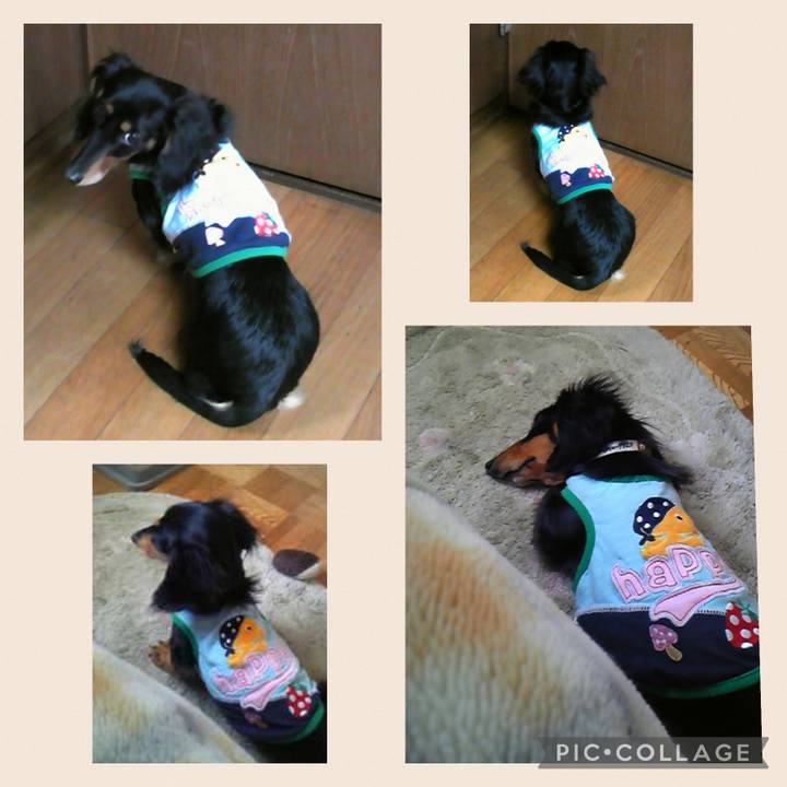 Cc0b9604 f4d8 4f50 85e1 65409634ccd8 1658954151000