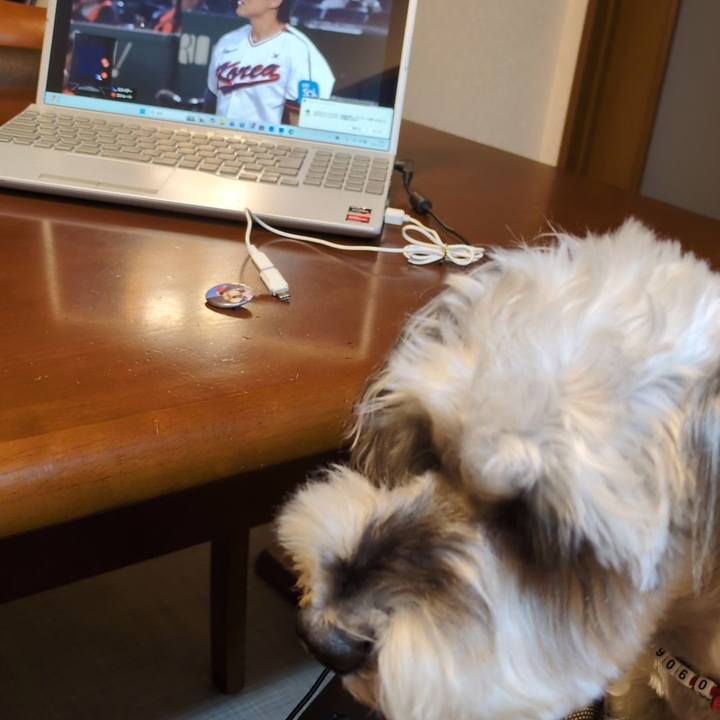 Cc0bbf95 3724 419f 866d 45bb499d14eb 1763297123152