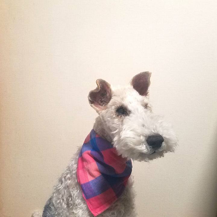 Cc0c1e40 c216 4cbf 8b85 cd0b54d9cfa9 1578924819124