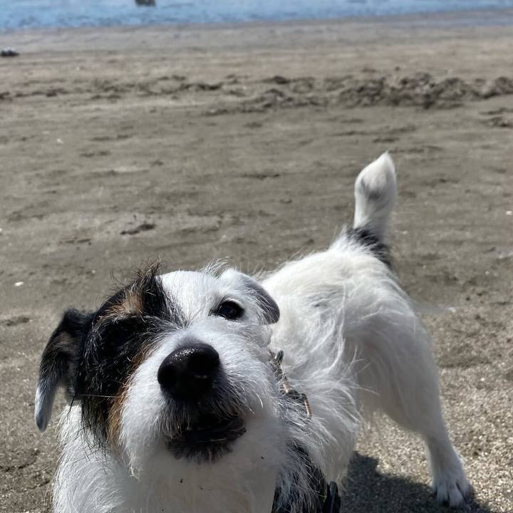 Cc0c92d6 650f 4b25 950e 95185094cfa9 1745932092699