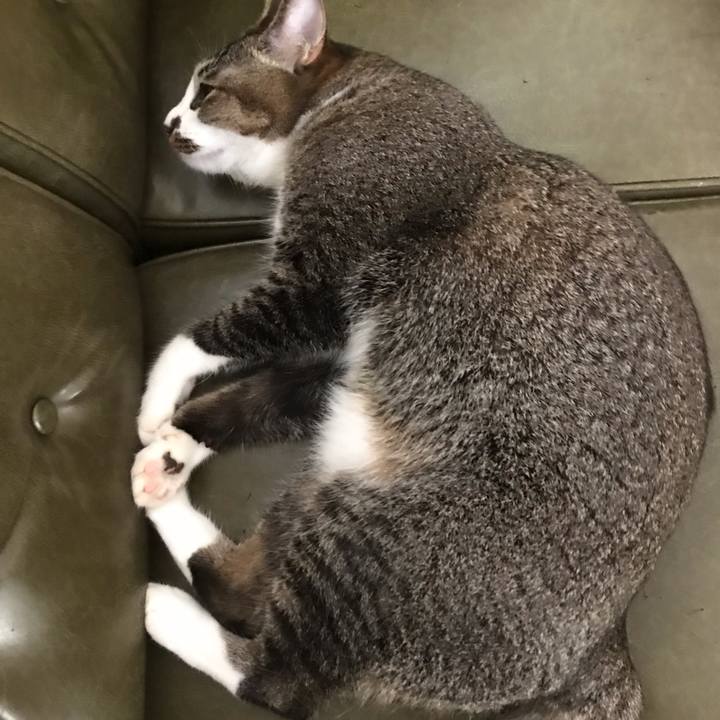 Cc0cab58 5b49 4582 ba41 87a445de2996 1568858986211