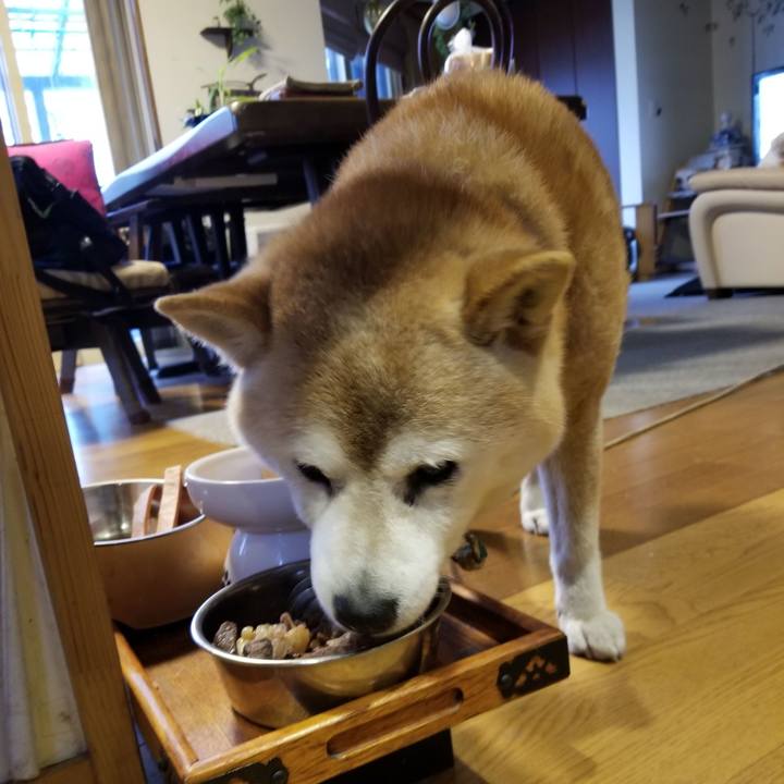 Cc0cba09 f5b5 4033 8ebe 4ee261fc6ece 1713775277356