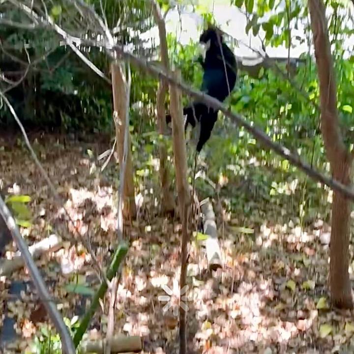 Cc0cddb8 5751 48cb 9317 92c2af47f21c 1755396137838