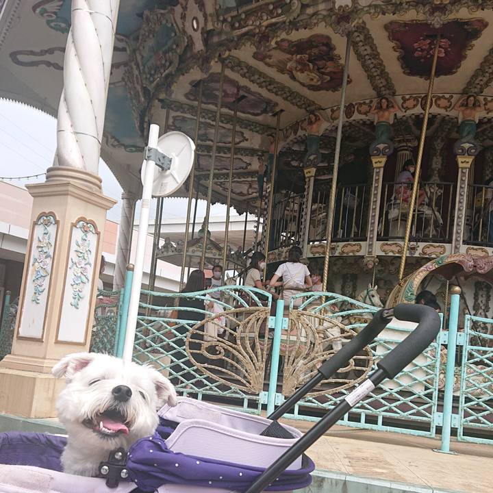 Cc0d1162 57ef 42c6 8edd cd42a3a04ac1 1661427896172