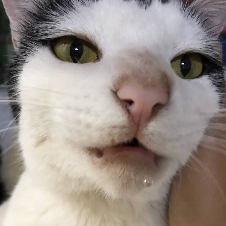 Cc0d2819 4377 4684 bdd0 1f8289c7d24c 1590412440922