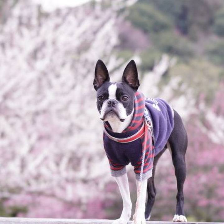 Cc0d7831 919d 4ab5 8815 2123d13762b5 1551960804241