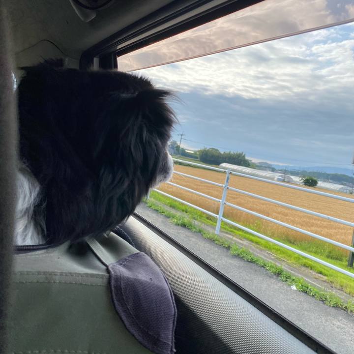 Cc0dbc0b dd4b 4727 a0d2 46be1c578ca6 1685052527989