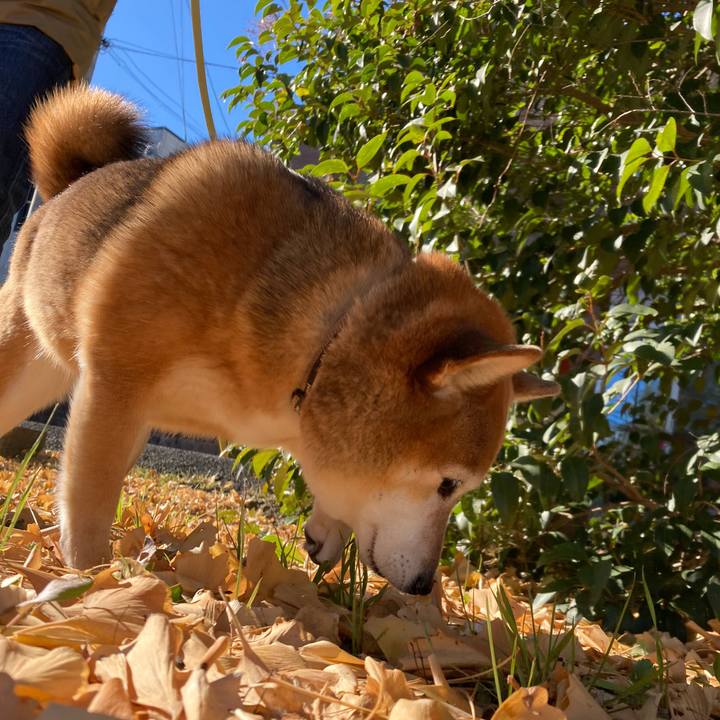 Cc0dc564 97b2 4477 a431 dce246214090 1639971791093