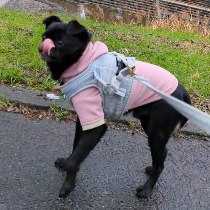 Cc0dd76c e6f5 4fa9 b9a2 145174d57987 1766585536388