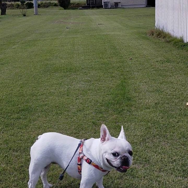 Cc0dec11 6ffc 414c b49a e305e1f4043b 1665229623044