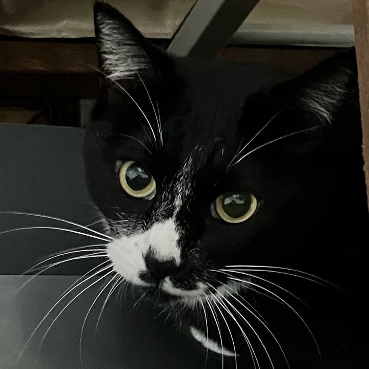 Cc0e1b42 2e23 47dc beb1 a9f4636ef1c6 1732342045667