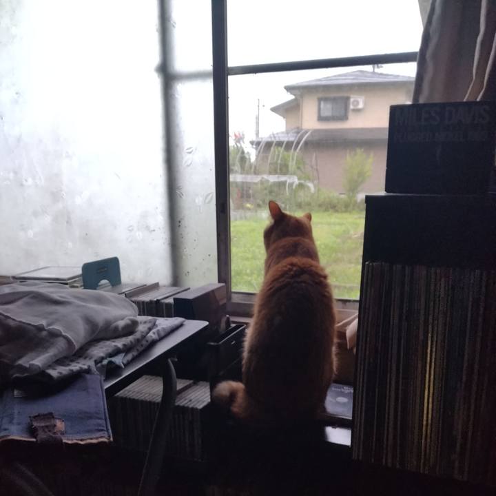 Cc0e2c1d 62ec 4675 bc15 a479e8e4b685 1720649244169