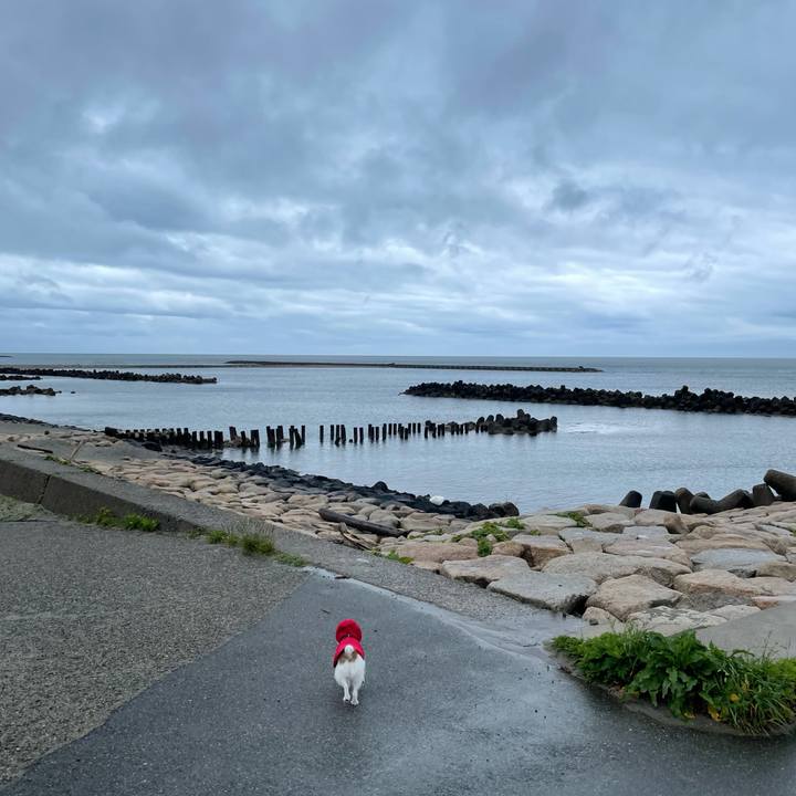 Cc0e338d 38c7 45e5 a27f 02524ee28ef2 1621207246124