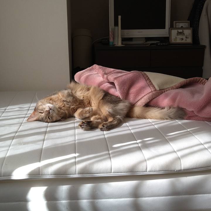 Cc0e379b 3772 4ee1 b90d 5045348af3c8 1612061721177