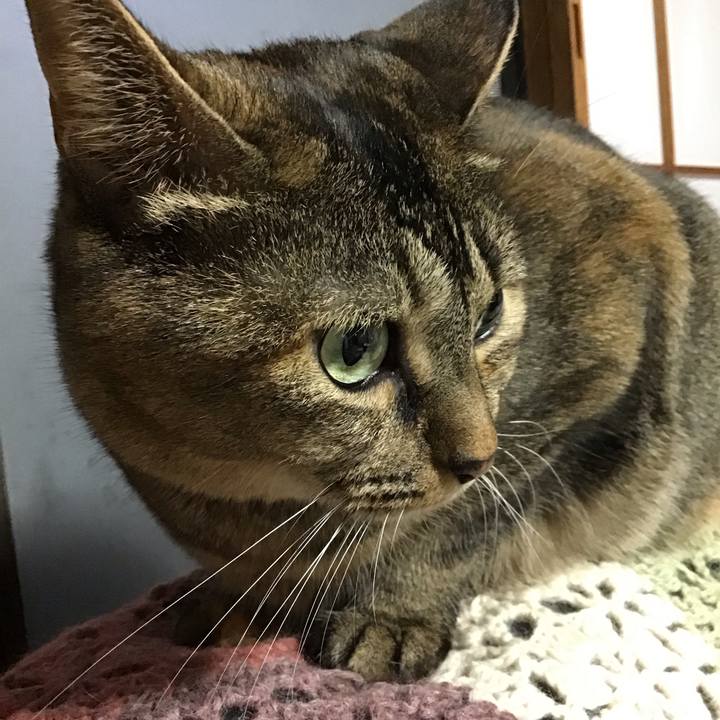 Cc0e3b48 7c9d 4706 9b09 236fed16b3c0 1696758731855