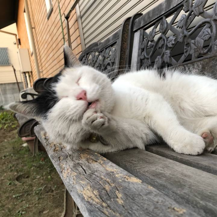 Cc0e4d82 0f6d 43da 82b6 600cbe68fe71 1612961576941