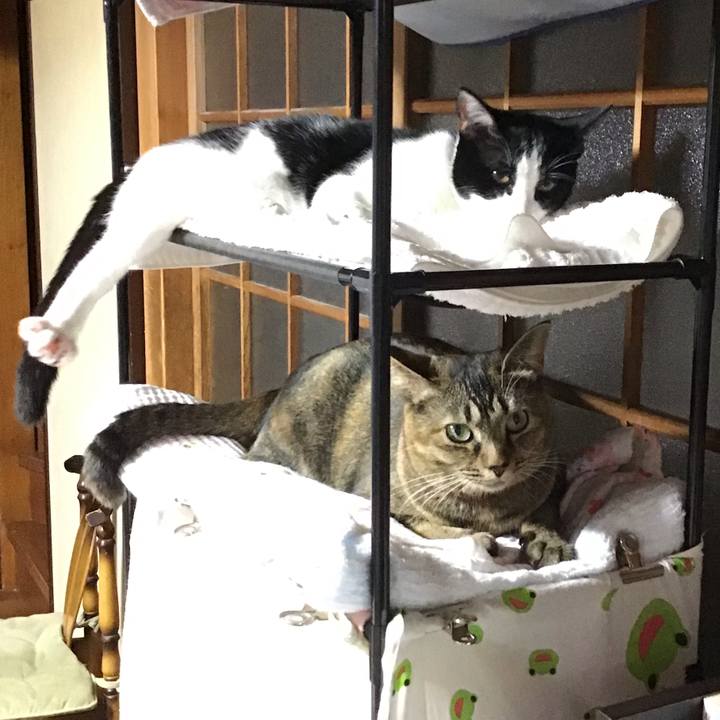 Cc0e564b 0e47 440b 926e d97c30f4bcab 1635929725396