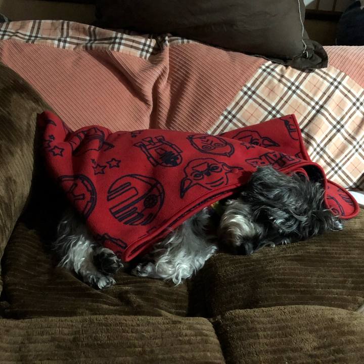 Cc0e6e7c 0524 4e84 baa1 77244822fb9d 1637935938285