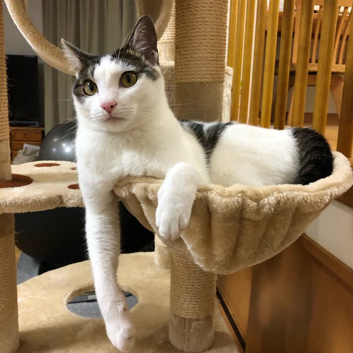 Cc0e70b9 ea65 4017 b10d 21310f33be45 1593434651152