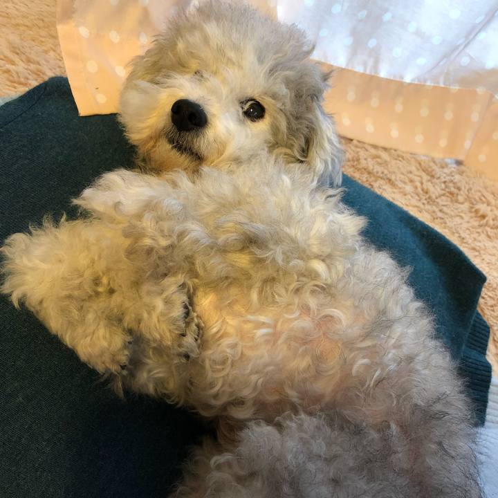 Cc0e7ec4 35ef 4b26 b9f2 9c994e50c8d2 1541757989765