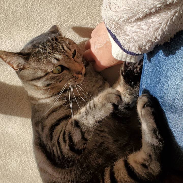 Cc0e8073 80d7 46c1 a635 437ef82aef26 1701323000843