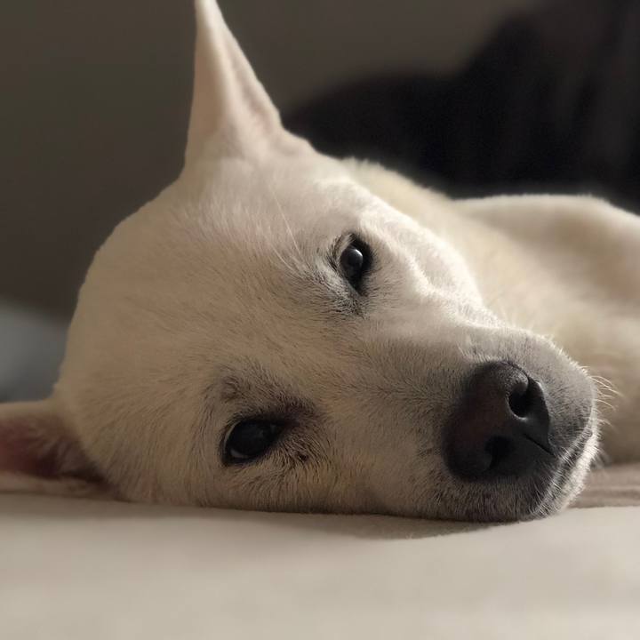 Cc0e9753 d1b1 4f10 838c c51221d837c2 1571145619354