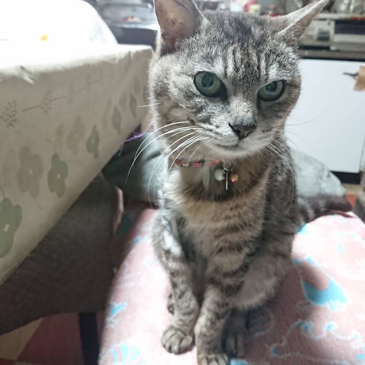 Cc0ed4bd 188f 4940 96f7 a1557969b9c9 1590782244639