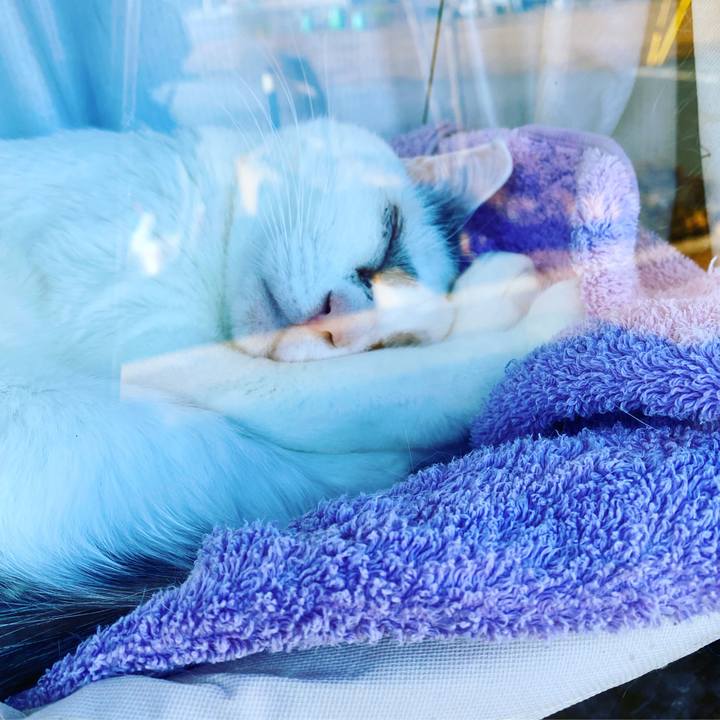 Cc0f02ff 5c94 47c2 81ee d1dcdaadd03a 1585229399819