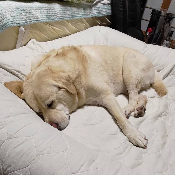 Cc0f06fa feec 424f bab9 bb48102d09ee 1693755146951