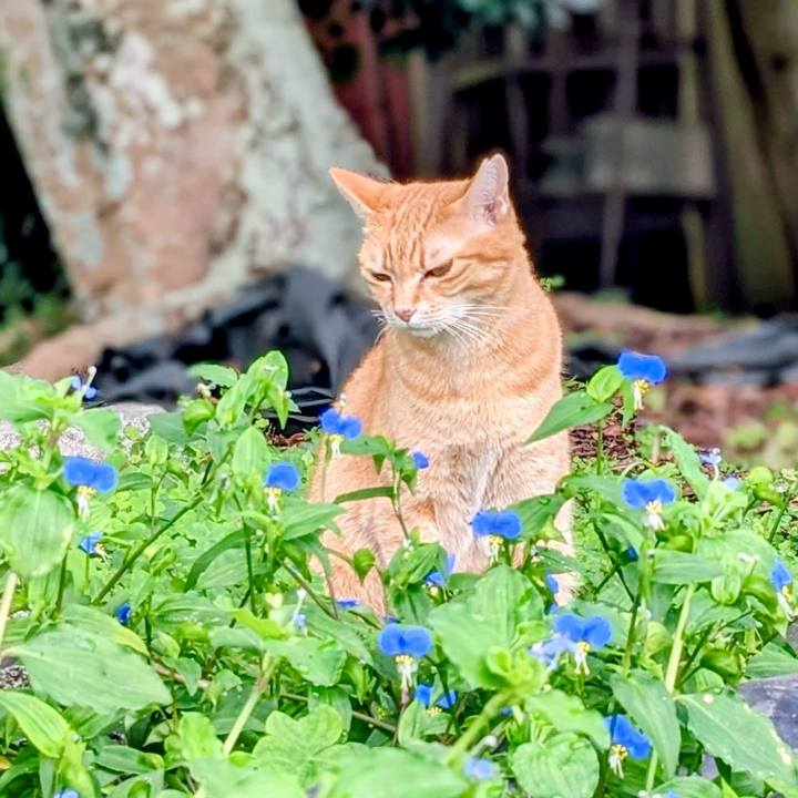 Cc0f505d 642e 4166 b398 ecea1a1cf067 1760140762115