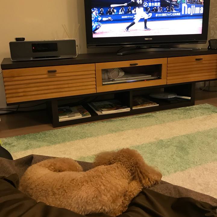 Cc0f6070 496d 40ce bab4 b66e8e5c4900 1509619987163