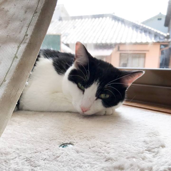 Cc0f7132 902d 40fd afa9 4c5823f50699 1521507807459