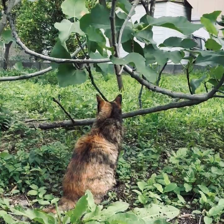 Cc0f7c3c bee3 4b6e 805f 23f91c3c88d8 1750474287773