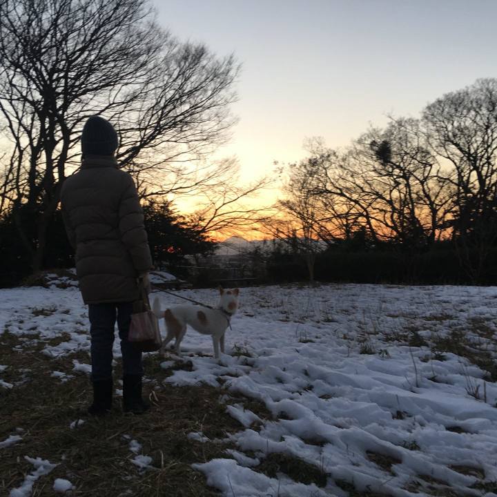 Cc0f8f6b 8e01 40f9 ba52 5f2f0227bd23 1517075704270