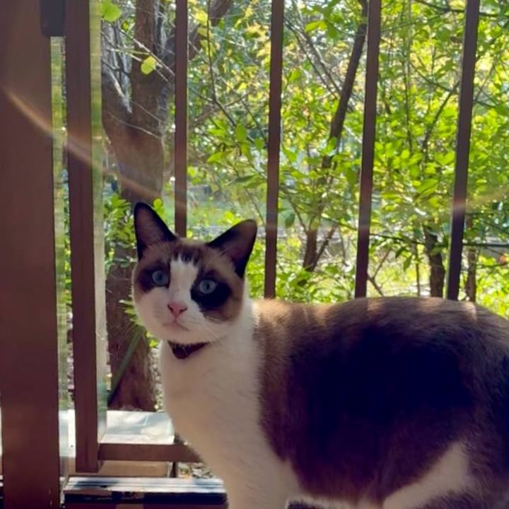 Cc0fdc21 a92a 428a 9c0b 52058ea62b61 1761531720773