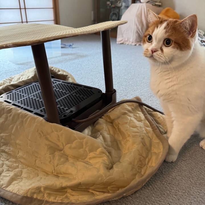 Cc1003a4 27b3 48df 8622 69f66a43527c 1772420103645