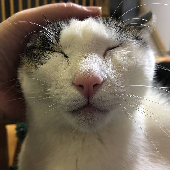 Cc100e13 4c33 44e8 9c9d 722136e753c2 1647956709186