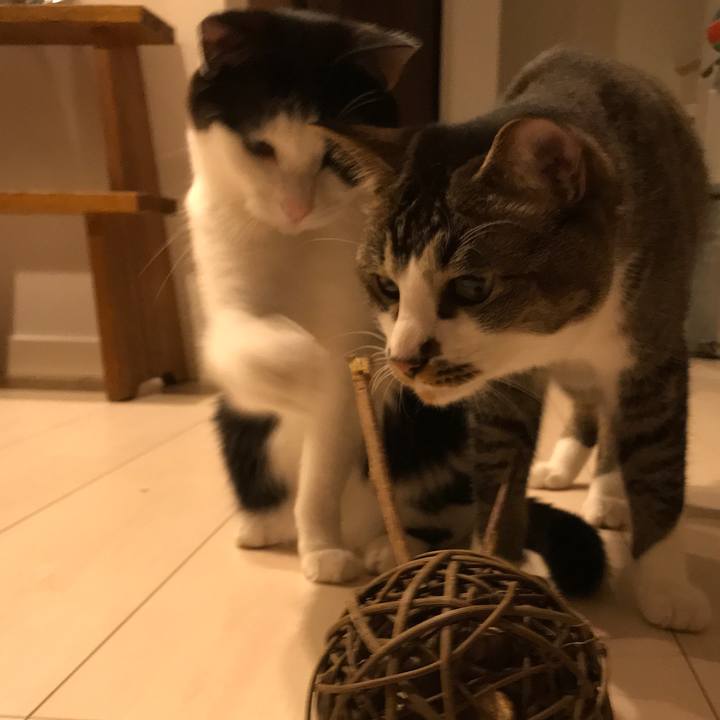 Cc1021d0 9060 4301 b747 0be28901db69 1529928064058