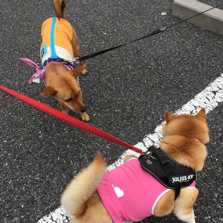 Cc1023b1 332a 4a1d b31d f06b24b7a745 1609905943332