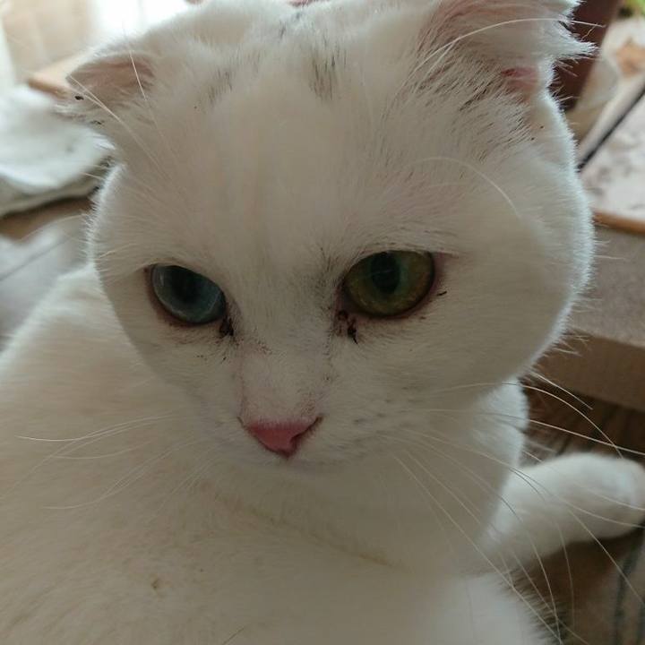 Cc102c52 9f34 411a 9480 9e5d3b2c7763 1508837284238