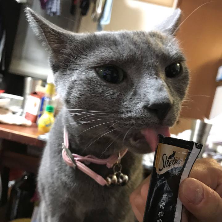 Cc103fb3 03ff 4473 971d b90cc2e93f95 1565789651613