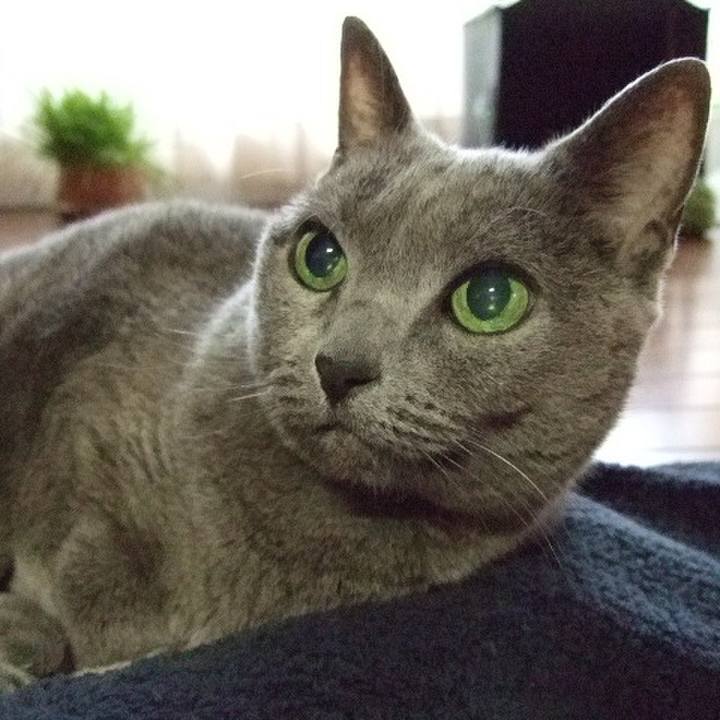 Cc104992 24e4 4901 bf70 e84ff9277bcd 1508632049904