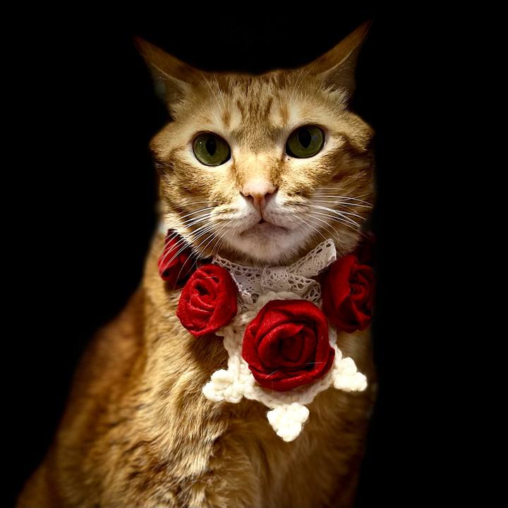 Cc105d78 c680 477c a54b 6815ecf8db76 1637655428120